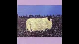 Shit And Shine - Seeing Life Through A Young Man&#39;s Eyes