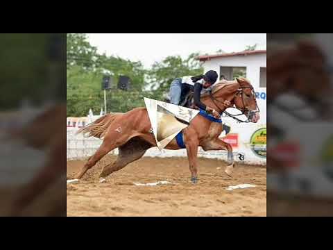 Ferro na boneca "O vaqueiro"
