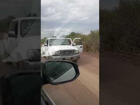 Abejas atacan a 6 personas en Charadai, Chaco