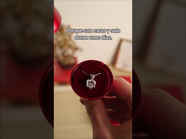 Vídeo relacionado con SOFIA FERRER regalos para tu novia originales, regalo aniversario pareja, collar cumpleaños mujer, colgante plata esposa, romántico, navidad, san valentín, bodas, enamorados (Rosa - Mujer)