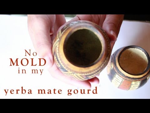 Mold in Yerba Mate Gourd? Here's How to Save it...