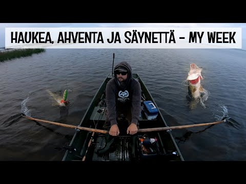 SIIKAJOELLA, VIHILUODOSSA JA OULUJOELLA KALASSA