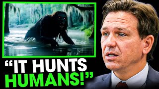 Florida’s New Predator Is Not A Python (It Hunts Humans)