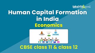 Human Capital Formation | CBSE Class 11th and 12th Economics - Detailed Explanation