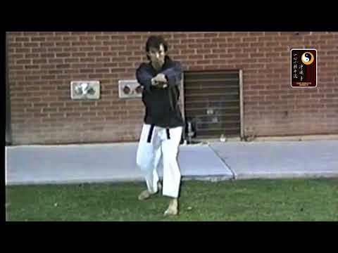 Seisan – Shihan Robert Cusumano
