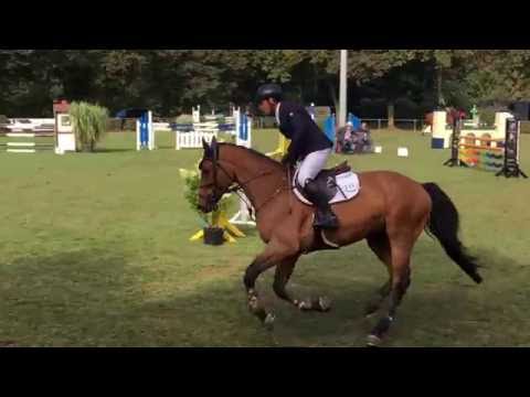 SA Stables " Cosimo 5j by Canoso / Diamant Nettetal