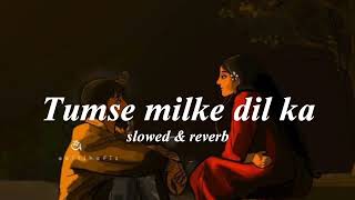 Tumse milke dil ka -lofi [slowed & reverb] - Sharukh khan