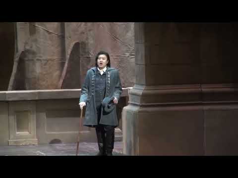 Jules Massenet Werther Act 2 Tatsuya Takahashi 'Un autre est son époux!.. J'au rais sur ma poitrine'
