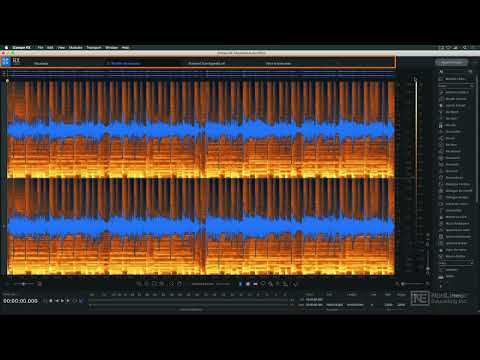 iZotope RX: RX 10 Video Manual - Interface