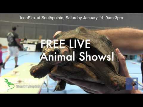 Steel City Reptile Expo