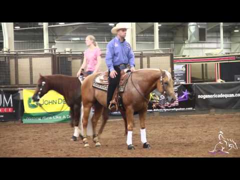 NRHA Derby '14 - Schmersal Reining Horses