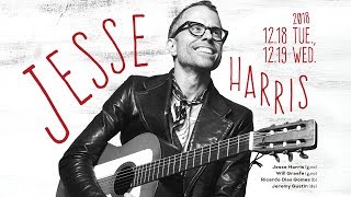 JESSE HARRIS : BLUE NOTE TOKYO 2018 trailer_02