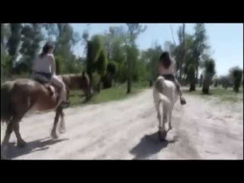 3LAU, Paris & Simo feat  Bright Lights   Escape Lyric Video con subtitulo