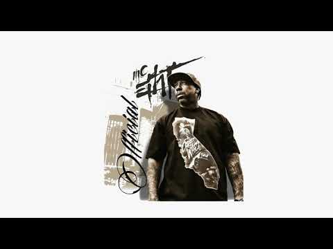 MC Eiht - Profiles ft Xzibit & Problem (prod. Ferhan C)