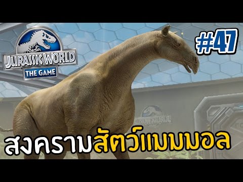 สิ่งที่ควรทำที่จะเป็นหน้าอกขนาดเล็ก ไม่ว่าจะเป็นหน้าอกเพิ่มเมล็ดแฟลกซ์