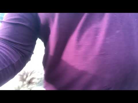 Monday morning 🐻 wrestling at Single Vision Inc