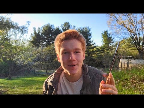 how to make life interesting in 59 seconds