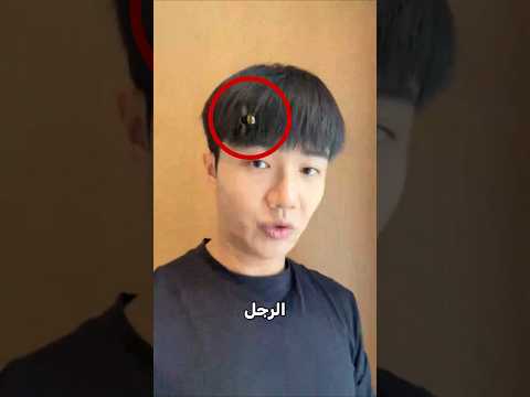 النحلة تريد الذهاب الى الشاطئ!⭕😮