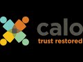 Developmental Trauma Treatment - Calo Programs
