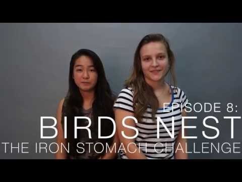 The Iron Stomach Challenge Ep8: Birds Nest