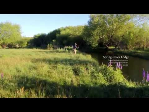 Spring Creek Lodge Commercial