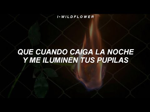 Chema Rivas - Mil Tequilas (Letra)