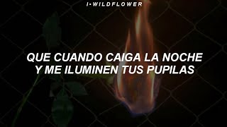 Chema Rivas - Mil Tequilas (Letra)