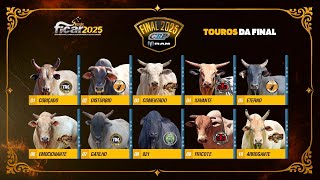 Rodeio da FICAR de Assis 2025 / FINAL CRP RAM (S0RTEI0 / DOMINGO / SEMI FINAL)