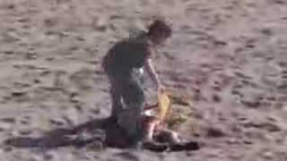 Taylor Lautner parle de son apparition dans la s�rie