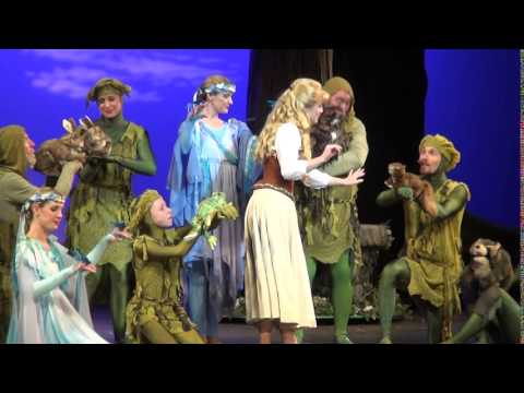 Disney's Sleeping Beauty