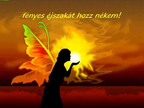 P.M.System: Sun Love - Napszerelem - 2009.