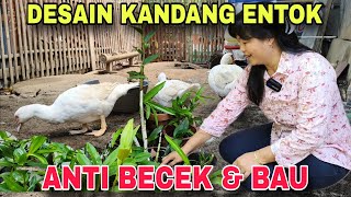 Download lagu DESIGN OF ANTI-MUD & ODOR DUCK PEN mp3