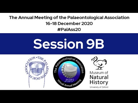 #PalAss20 Session 9B