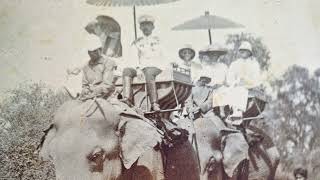 ประวัติ เพนียดคล้องช้างอยุธยา กับการคล้องช้างตั้งแต่สมัยโบราณ จนถึงปัจจุบัน