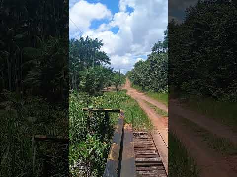 Assentamento  Governador Janary Tartarugalzinho Ap