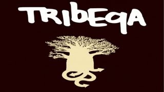 Tribeqa - Rose remix par Beat Torrent