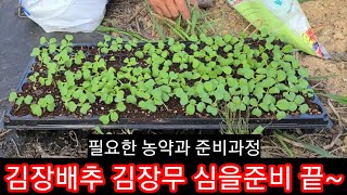 김장배추,김장무 심을준비 끝~필요한 농약과 필요 준비과정 김장배추,김장무 심는시기 배추밭만들기,파종시기,김정…