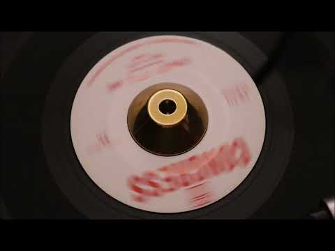 V I P's   Strange Little Girl   CONGRESS