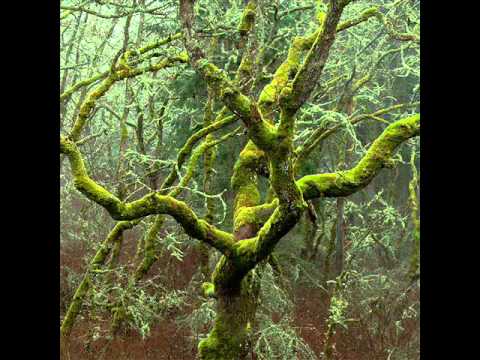 Mind Over Midi - Silence Of The Sea