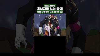 초보자들 노는 곳에 만렙 고인물이 오면 생기는 일 #onepiece #원피스