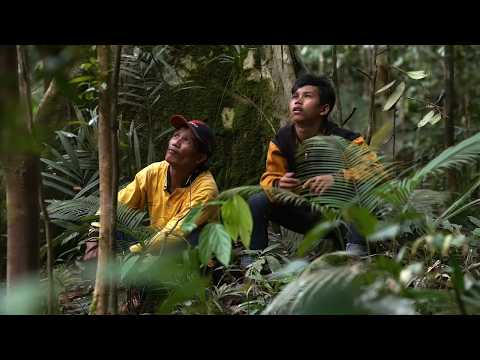 Bornéo : Le convoi de la jungle | Les Routes de l'impossible