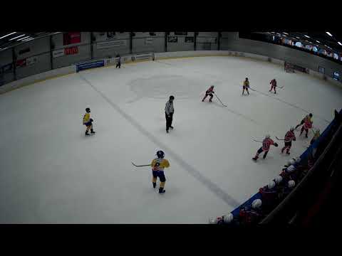 MŽA HC Lvi ČB     HC Veselí nad Lužnicí II  tř  Březen 2019