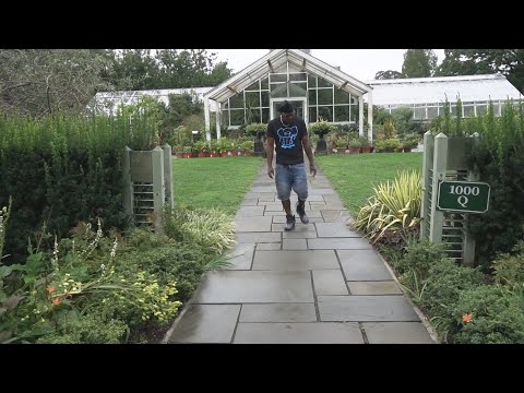 Fes Taylor   Purple Flowers