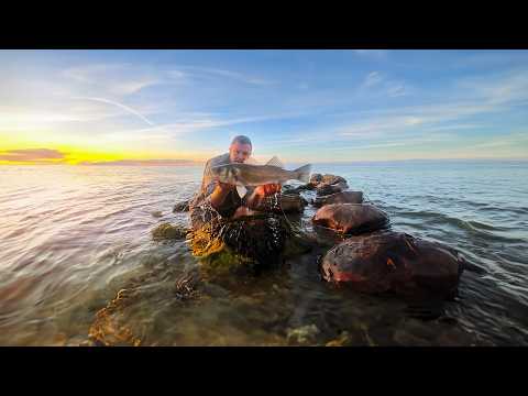 Lure fishing for Bass in the Shallows