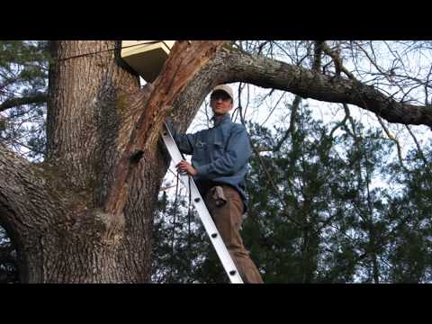 , title : 'Dr. Leo Sharashkin:  Agroforestry and Wilderness Beekeeping for Conservation and Profit'