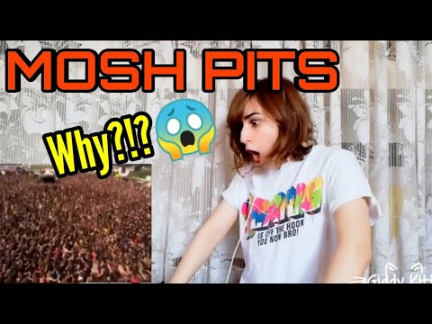 KPOP FAN REACTION TO METAL CONCERT MOSH PITS! (I Got So Many Questions..)