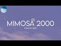 Furacão 2000 Mimosa 2000 Lyrics