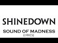 Shinedown - Sound Of Madness (Lyrics)