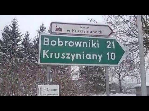 Antykwariat na skupie jaj