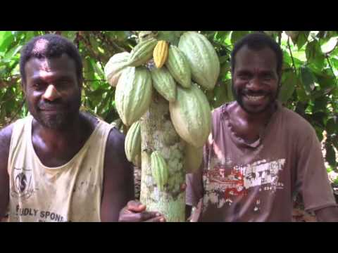 Help small cocoa farmers make a living